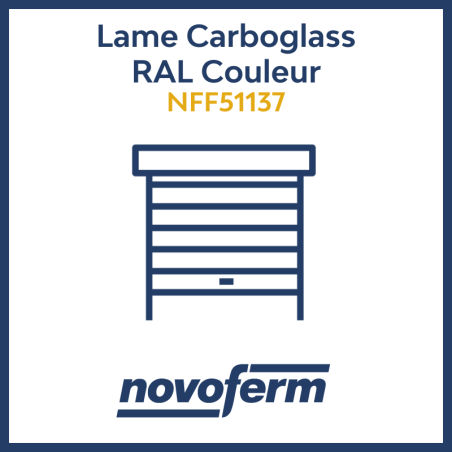 Lame carboglass RAL couleur_garage_Novoferm_NFF51137